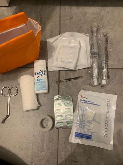 Erste Hilfe beim Hund-Beitrag-Bild