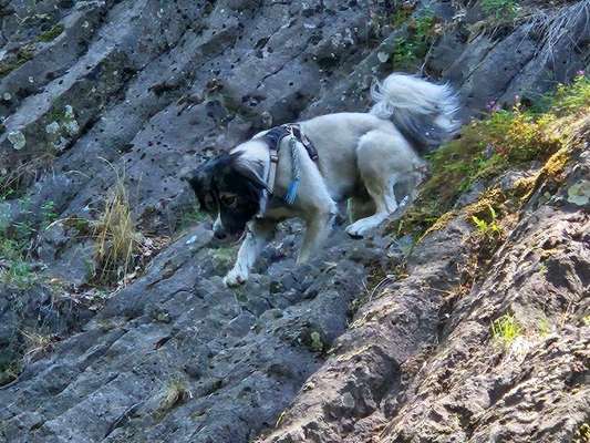 57. Handy Foto Challenge - klettern-Beitrag-Bild