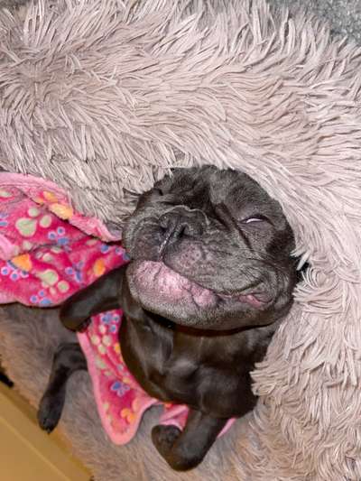 Hier ist der Spaßthread. Zum Schmunzeln und Kaputtlachen-Beitrag-Bild