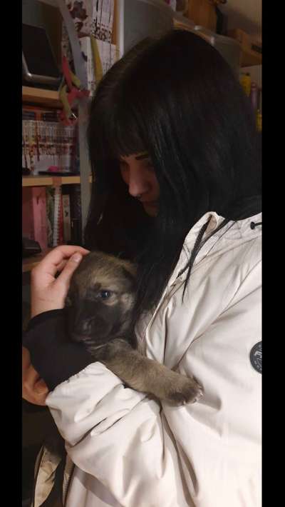 Das erste Foto-Beitrag-Bild