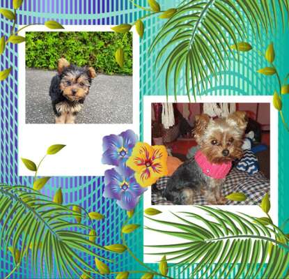 Vorher.... Nachher-Beitrag-Bild