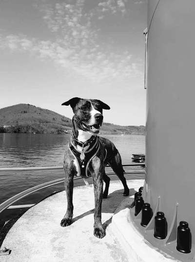 Foto-Challenge 76: Foto in Schwarz-Weiss-Beitrag-Bild