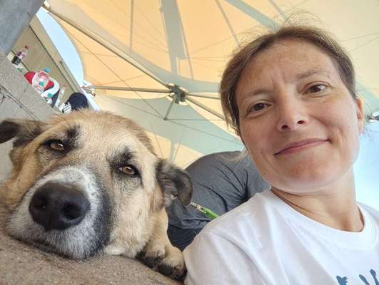 TierschutzhundeStammtisch🐕-Beitrag-Bild