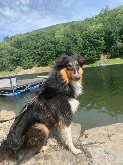 Theos Fotochallange Nummer 4-Beitrag-Bild