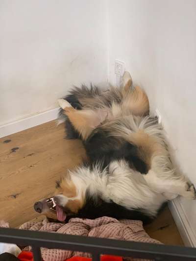 FOTO-Challenge  NR. 91: Die pure Entspannung-Beitrag-Bild