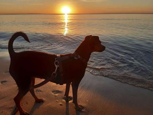 Fotochallenge Nr. 62 Romantische Momente-Beitrag-Bild