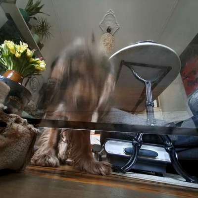 Fotoshooting-Beitrag-Bild