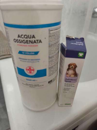 Lefzenentzündung.-Beitrag-Bild