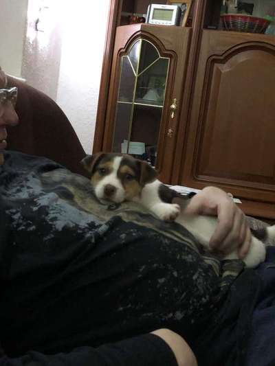 Das erste Foto-Beitrag-Bild