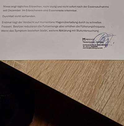 Junghund übergibt sich spontan-Beitrag-Bild