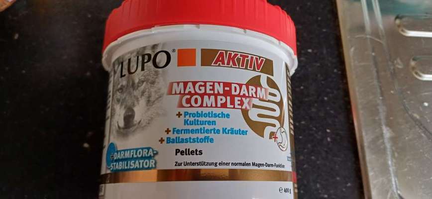 Welpe hat Magenschleimhaut entzündung-Beitrag-Bild