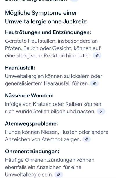 Wunde Pfotenballen, was könnte der Auslöser sein?-Beitrag-Bild