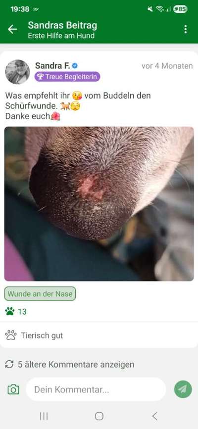 Stelle an der Nase-Beitrag-Bild