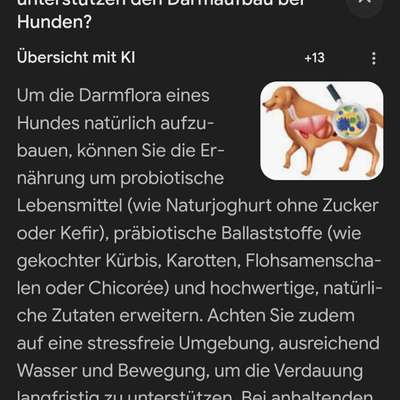 Antibiotika Gabe und Unterstützung-Beitrag-Bild