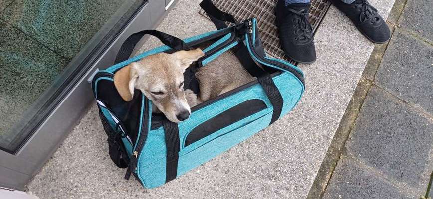 Zugfahrt - Welche Tasche oder Box-Beitrag-Bild