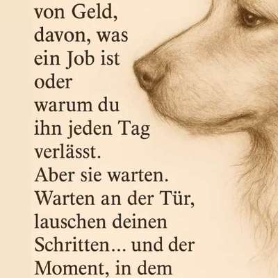 aktuelles Foto Gruppe Poesie für unsere Hunde