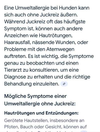 Wunde Pfotenballen, was könnte der Auslöser sein?-Beitrag-Bild