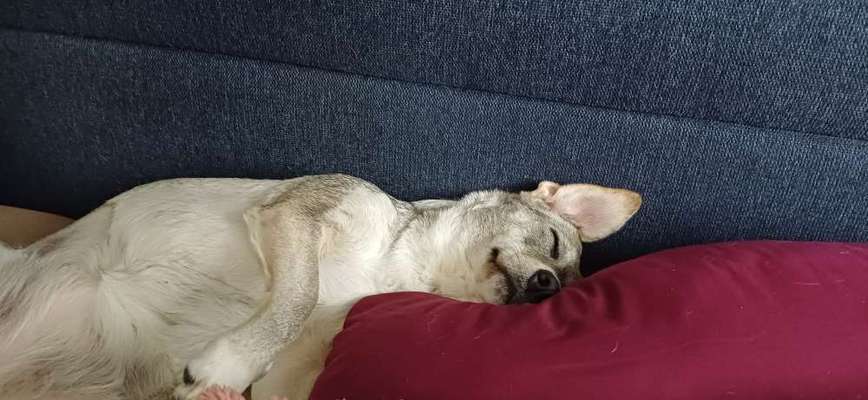 Zugfahrt - Welche Tasche oder Box-Beitrag-Bild