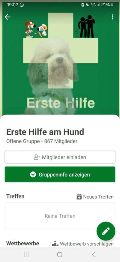Hundeapotheke-Beitrag-Bild
