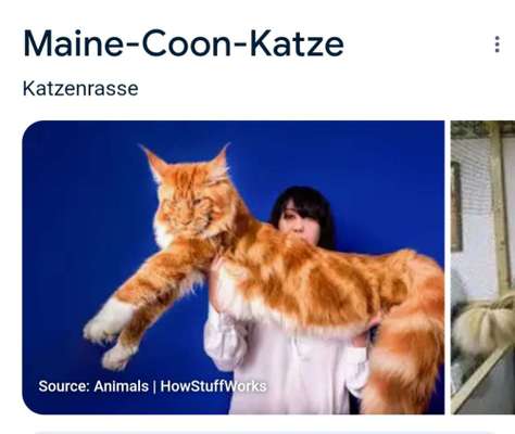 Zugfahrt - Welche Tasche oder Box-Beitrag-Bild