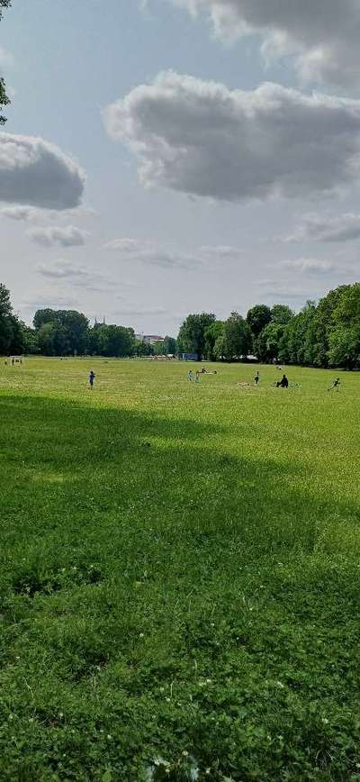 Hundeauslaufgebiet-Wöhrder Wiese-Bild