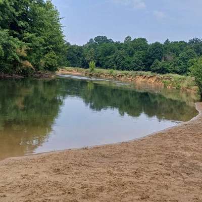 Hundeauslaufgebiet-Hundebade Strand Stadt Nürnberg-Bild