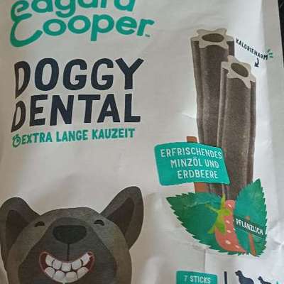 Mundspülung für Hunde-Beitrag-Bild