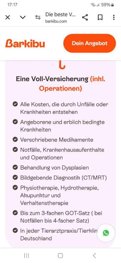 Versicherungen für Hunde – Eure Erfahrungen und Meinungen!-Beitrag-Bild