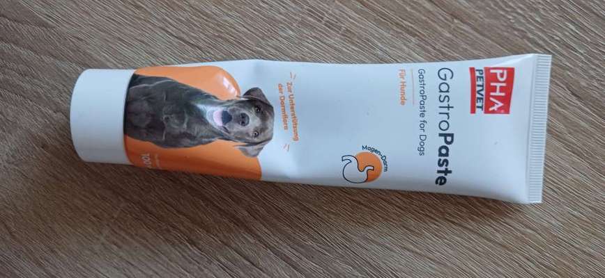 Welpe hat Magenschleimhaut entzündung-Beitrag-Bild