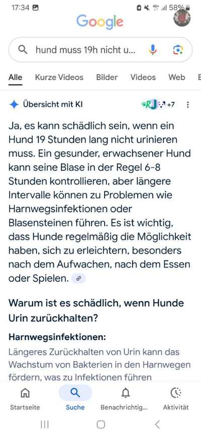 Hündin will Abends nicht mehr Pipi-Beitrag-Bild