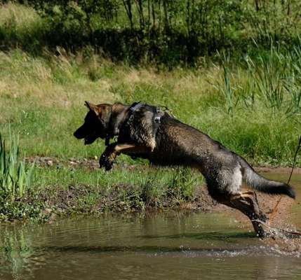 Moviestar-Pics!-Beitrag-Bild