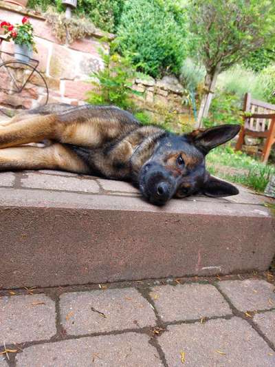 Lieblingsbild-Beitrag-Bild