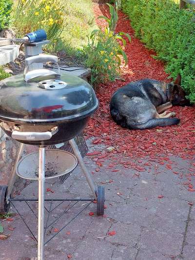 Moviestar-Pics!-Beitrag-Bild