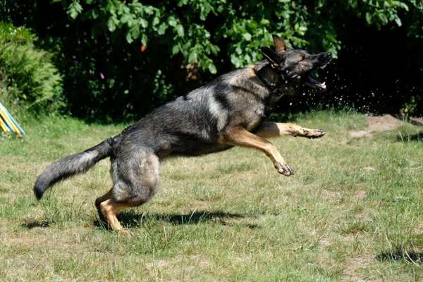 Moviestar-Pics!-Beitrag-Bild