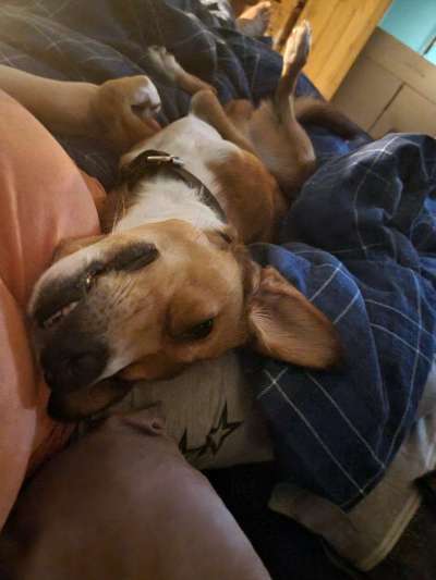 FOTO-Challenge  NR. 91: Die pure Entspannung-Beitrag-Bild