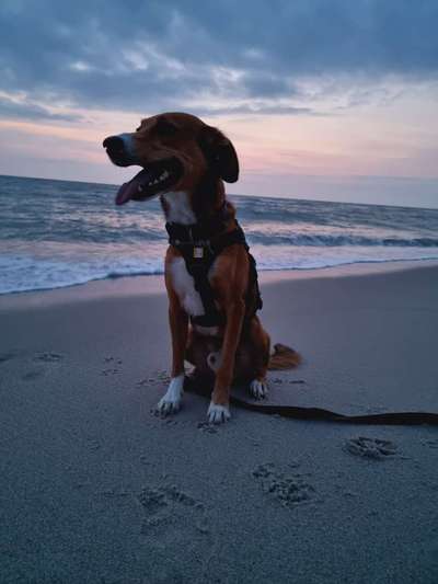 Theos  Fotochallenge Nummer 2-Beitrag-Bild