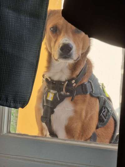 Doppelgänger gesucht !-Beitrag-Bild