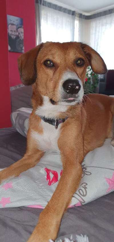 Doppelgänger gesucht !-Beitrag-Bild