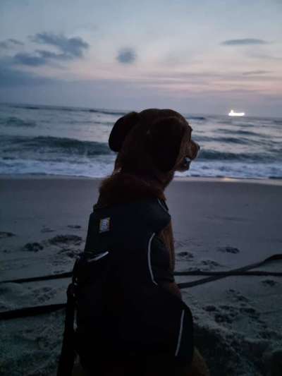 Fotochallenge Nr. 94 It's summer time-Beitrag-Bild