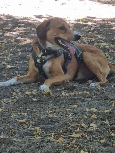 Doppelgänger gesucht !-Beitrag-Bild