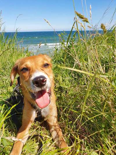 Theos Fotochallange Nummer 4-Beitrag-Bild