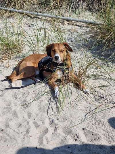 Doppelgänger gesucht !-Beitrag-Bild