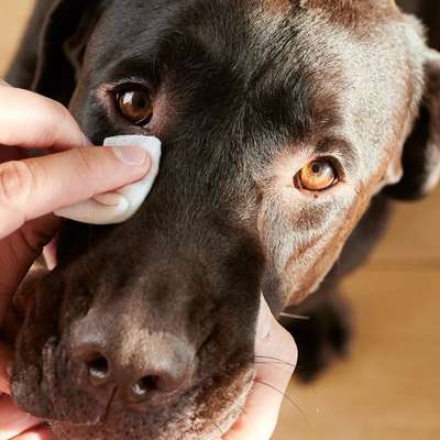 Schlaf Sand wie am besten weg bekommen-Beitrag-Bild