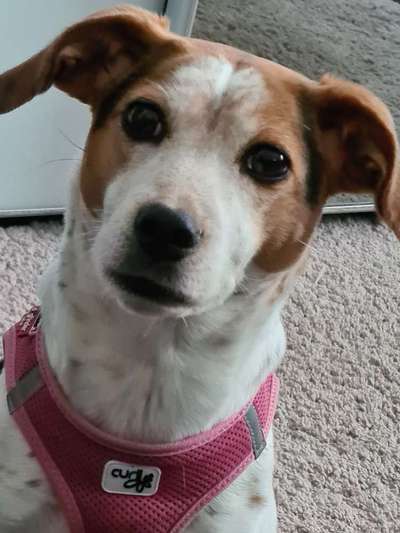 Fotochallange Nr. 57     PORTRÄT.   Beendet!!!!!!!!-Beitrag-Bild