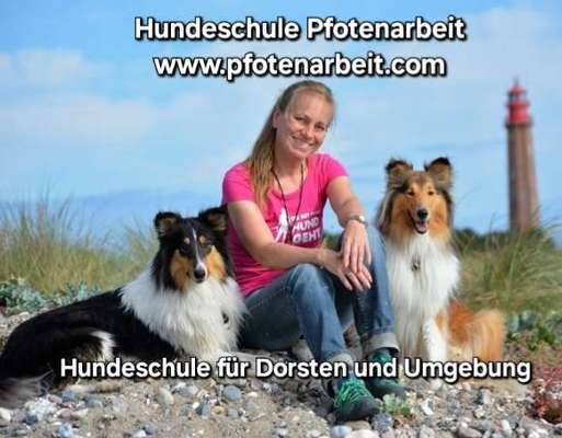 Hundeschulen-Hundeschule Pfotenarbeit-Bild