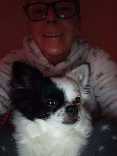 Wo sind die Chihuahua Besitzer ?-Beitrag-Bild