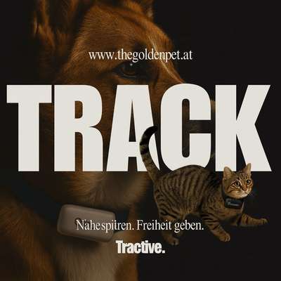 %{de_profession_title}-Sicher unterwegs mit dem Tractive GPS-Bild