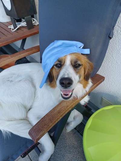 140. Foto Challenge - schattiges Plätzchen-Beitrag-Bild