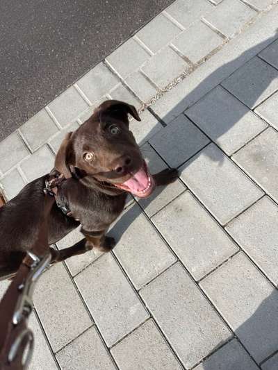 Fotochallenge Nr.122-Beitrag-Bild