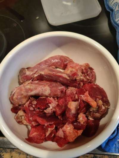 Zeigt her Eure Futternäpfe-Beitrag-Bild